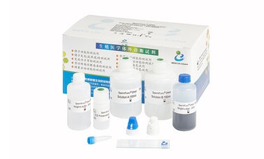 Kit de teste de DNA de esperma SCD para determinação do nível de fragmentação de DNA em espermatozóides