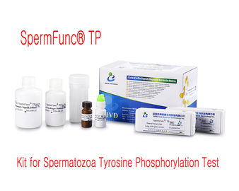 Jogo profissional da maturidade do esperma para a fosforilação da tirosina da proteína da determinação